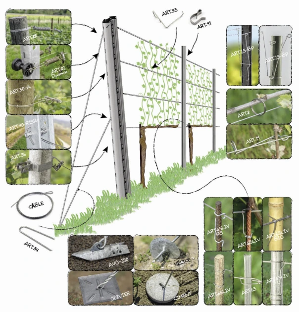 Palissage complet 