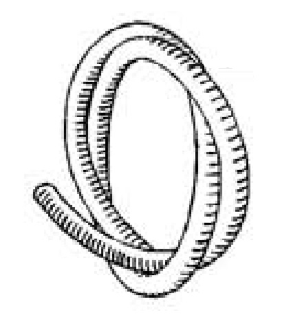 [72000360] soc de dent P 53/1 et P 54/1, sans vis